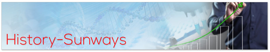 Sunways India Pvt. Ltd.